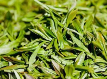 好聽的茶葉商標(biāo)名字大全(精選200個(gè))